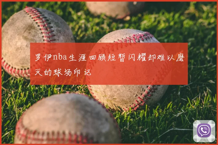 罗伊nba生涯回顾短暂闪耀却难以磨灭的球场印记